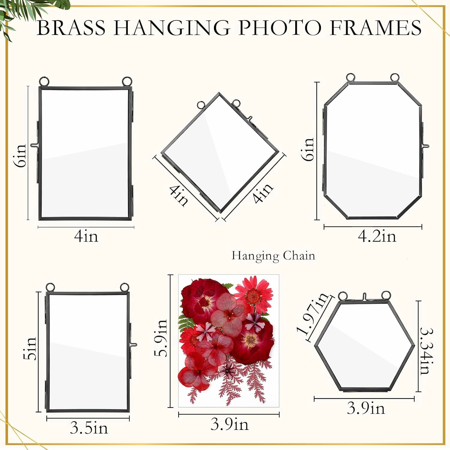 5 Pcs Glass Frame for DIY Pressed Flowers Art Brass Hanging Photo Picture Frame with Chain and 6 Styles Pressed Flowers Collage Glass Craft Frames for Wall Decor Display Gallery (Black)