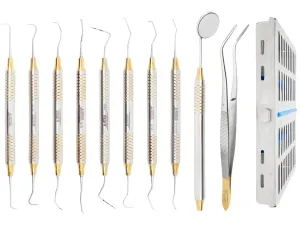 ARTMAN INSTRUMENTS Dental Hygienist Tool Kit (10 PCs) – Includes Mirror, Probe, Tweezer, Scalers, Pocket Probe, Curettes – Prophylaxis Teeth Cleaning Set, Autoclavable, with Sterilization Cassette