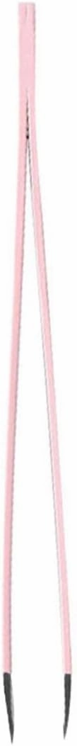 Eyebrow Grooming Beauty Tool ， Trimmer ，Eyebrow Tweezers Professional Stainless Steel Slant Tip Eyebrow Tweezer Hair Removal Lady Beauty Makeup Eyebrow Tools Pink(Pink)