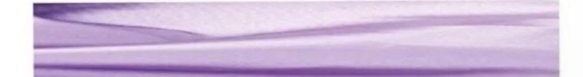 Klebote 5-in-1 Hair Kit – Satin Round Bonnet, Wig Cap, Eyebrow Razor, Tweezer & Comb Set (Purple)