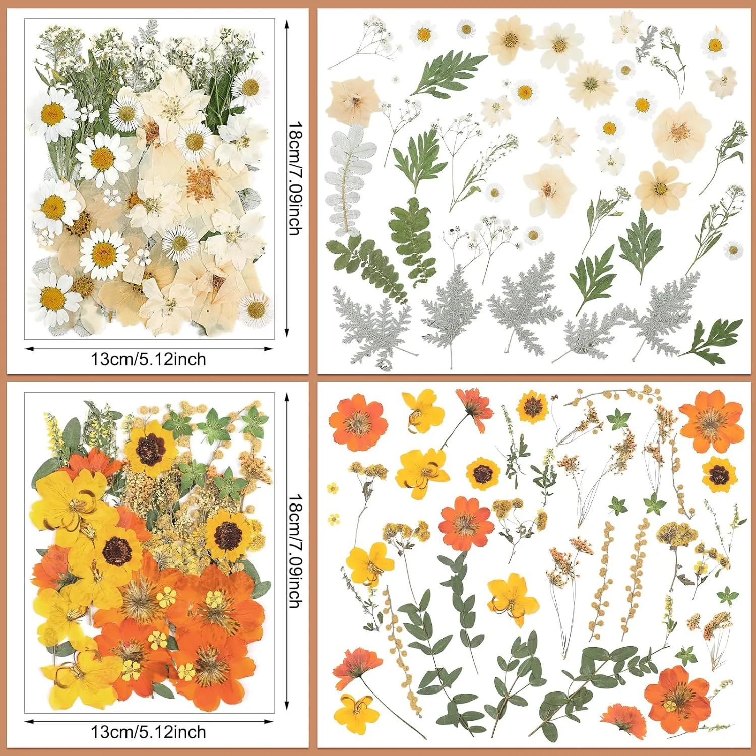 Nuanchu 200 Pcs Pressed Flowers Bulk Dried Flower for Craft Resin Mold Bookmark Scrapbooking Nail Cake White Orange Natural Pressed Dried Floral with Tweezer DIY Gift(Mixed Color,Artistic Style)