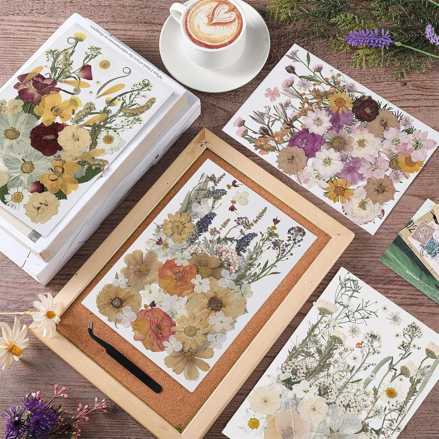 Nuanchu 200 Pcs Pressed Flowers Bulk Dried Flower for Craft Resin Mold Bookmark Scrapbooking Nail Cake White Orange Natural Pressed Dried Floral with Tweezer DIY Gift(Classic Color,Retro Style)