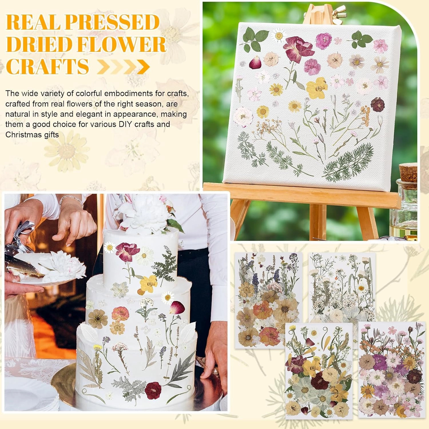 Nuanchu 200 Pcs Pressed Flowers Bulk Dried Flower for Craft Resin Mold Bookmark Scrapbooking Nail Cake White Orange Natural Pressed Dried Floral with Tweezer DIY Gift(Classic Color,Retro Style)