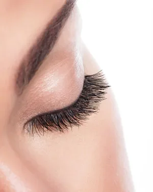 Rev Pro Purple Curve/single/tweezer/3d & 6d for eyelash extension by PINKLAB