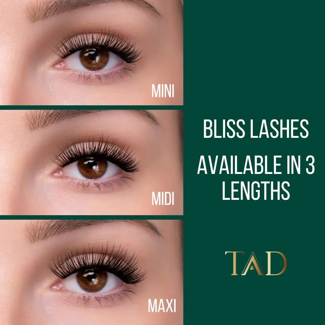 TAD Beauty Bliss Lash Clusters Kit - Wispy Lash Clusters Airy 8-14 mm C Curl DIY Lash Extension Kit Eyelash Clusters False Eyelashes Individual Lashes Natural Look Lash Kit- Bond, Seal, Tweezer (Maxi)